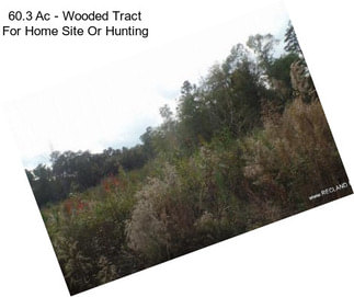 60.3 Ac - Wooded Tract For Home Site Or Hunting