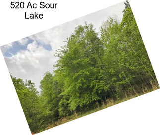 520 Ac Sour Lake