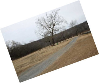 Lots For Sale-cedar Crest Country Club, Mayes County
*price Improvement*