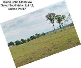 Toledo Bend Clearview Gated Subdivision Lot 12, Sabine Parish