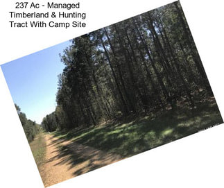 237 Ac - Managed Timberland & Hunting Tract With Camp Site