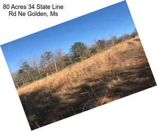 80 Acres 34 State Line Rd Ne Golden, Ms