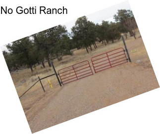 No Gotti Ranch