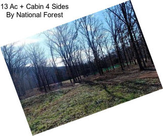 13 Ac + Cabin 4 Sides By National Forest