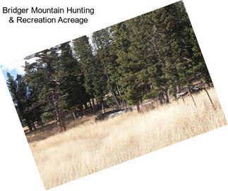 Bridger Mountain Hunting & Recreation Acreage