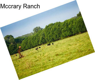 Mccrary Ranch