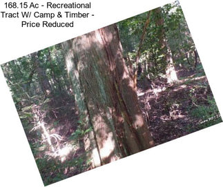 168.15 Ac - Recreational Tract W/ Camp & Timber - Price Reduced