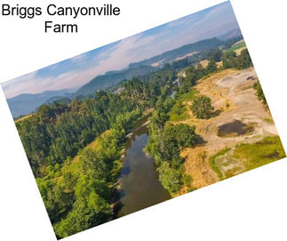 Briggs Canyonville Farm