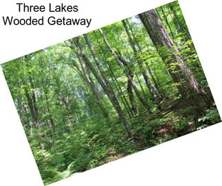 Three Lakes Wooded Getaway