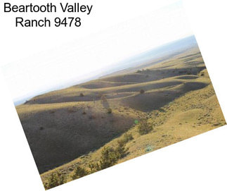 Beartooth Valley Ranch 9478