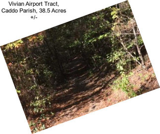 Vivian Airport Tract, Caddo Parish, 38.5 Acres +/-