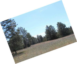 160 Acres, More Or Less - Recreational Land
Keya Paha County, Ne