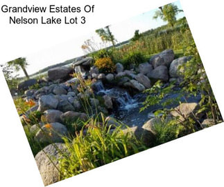 Grandview Estates Of Nelson Lake Lot 3