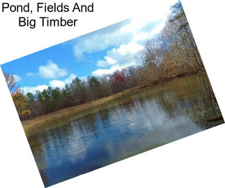 Pond, Fields And Big Timber