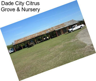 Dade City Citrus Grove & Nursery