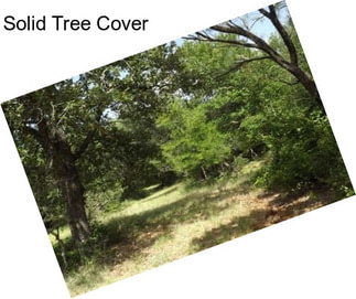 Solid Tree Cover