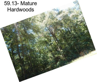 59.13- Mature Hardwoods