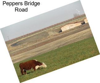 Peppers Bridge Road