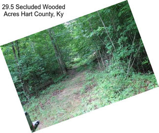 29.5 Secluded Wooded Acres Hart County, Ky