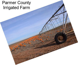 Parmer County Irrigated Farm