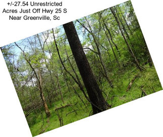 +/-27.54 Unrestricted Acres Just Off Hwy 25 S Near Greenville, Sc