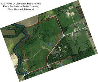 120 Acres Of Livestock Pasture And Farm For Sale In Butler County, Near Harviell, Missouri