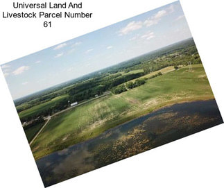 Universal Land And Livestock Parcel Number 61