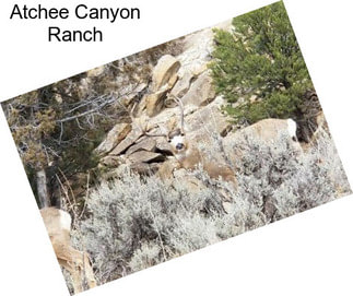 Atchee Canyon Ranch