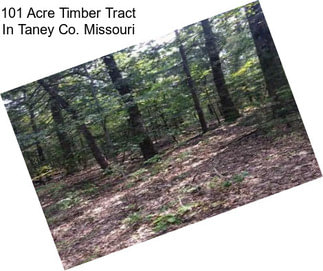 101 Acre Timber Tract In Taney Co. Missouri