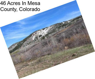 46 Acres In Mesa County, Colorado