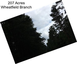 207 Acres Wheatfield Branch
