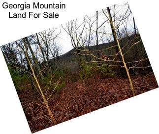 Georgia Mountain Land For Sale