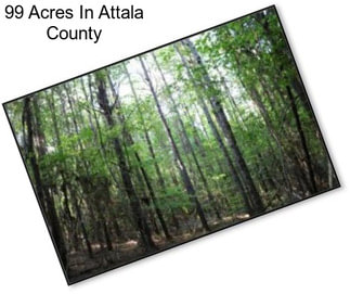 99 Acres In Attala County