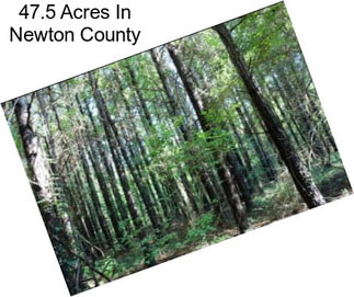 47.5 Acres In Newton County