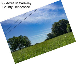 6.2 Acres In Weakley County, Tennessee