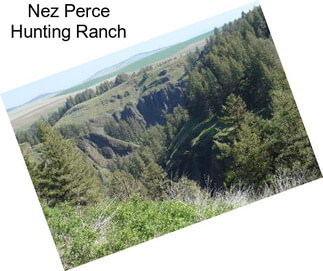 Nez Perce Hunting Ranch