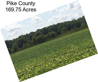 Pike County 169.75 Acres