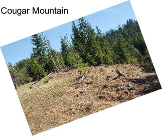 Cougar Mountain