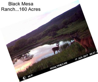 Black Mesa Ranch...160 Acres