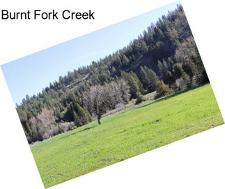 Burnt Fork Creek