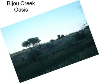 Bijou Creek Oasis