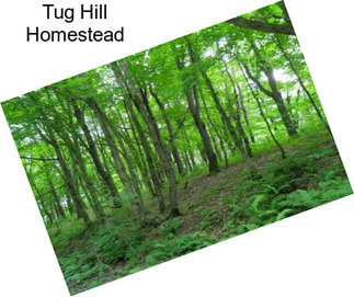 Tug Hill Homestead