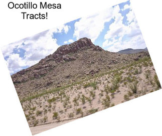 Ocotillo Mesa Tracts!