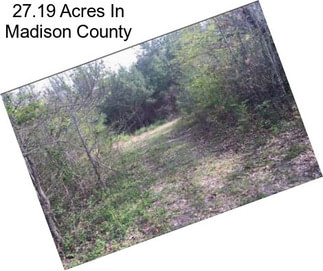 27.19 Acres In Madison County