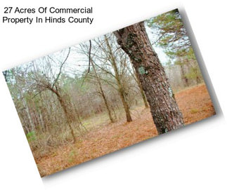 27 Acres Of Commercial Property In Hinds County