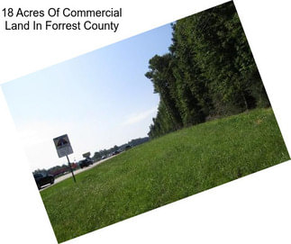 18 Acres Of Commercial Land In Forrest County