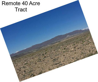 Remote 40 Acre Tract