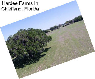 Hardee Farms In Chiefland, Florida