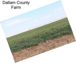 Dallam County Farm