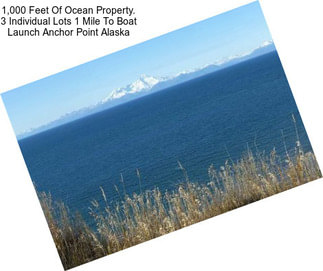 1,000 Feet Of Ocean Property. 3 Individual Lots 1 Mile To Boat Launch Anchor Point Alaska